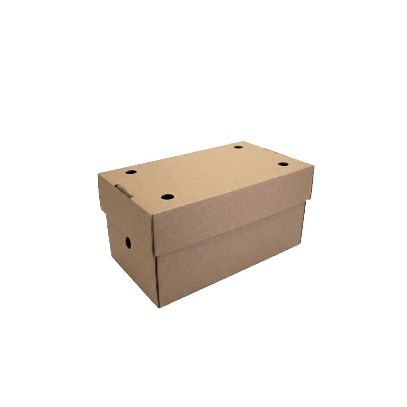 CONCHA CARTON KRAFT BURGUER FLOR 240x120x100 100 UDS - Imagen 3
