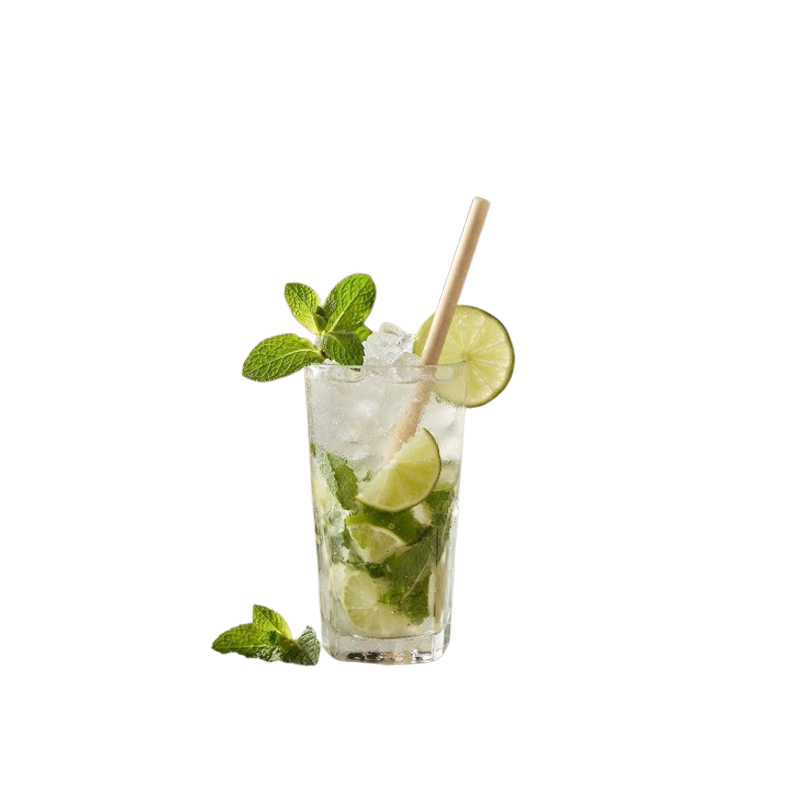 CAÑITA FIBRA VEGETAL MOJITO 250 UDS - Imagen 2