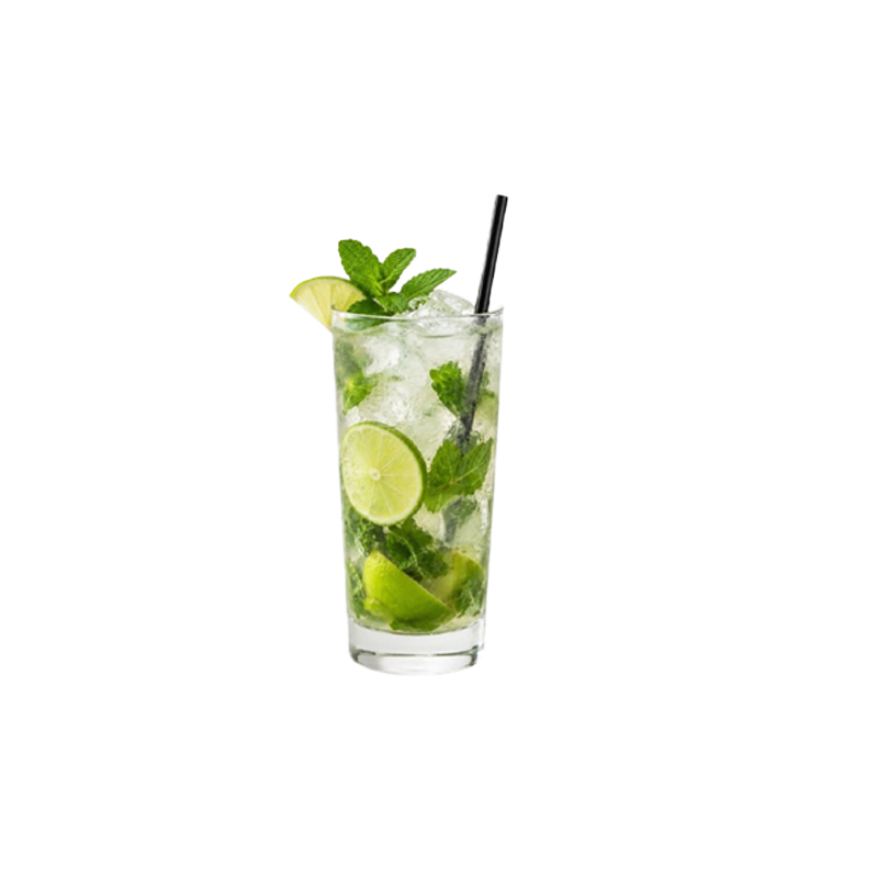 CAÑITA PP NEGRA MOJITO 250 UDS - Imagen 2